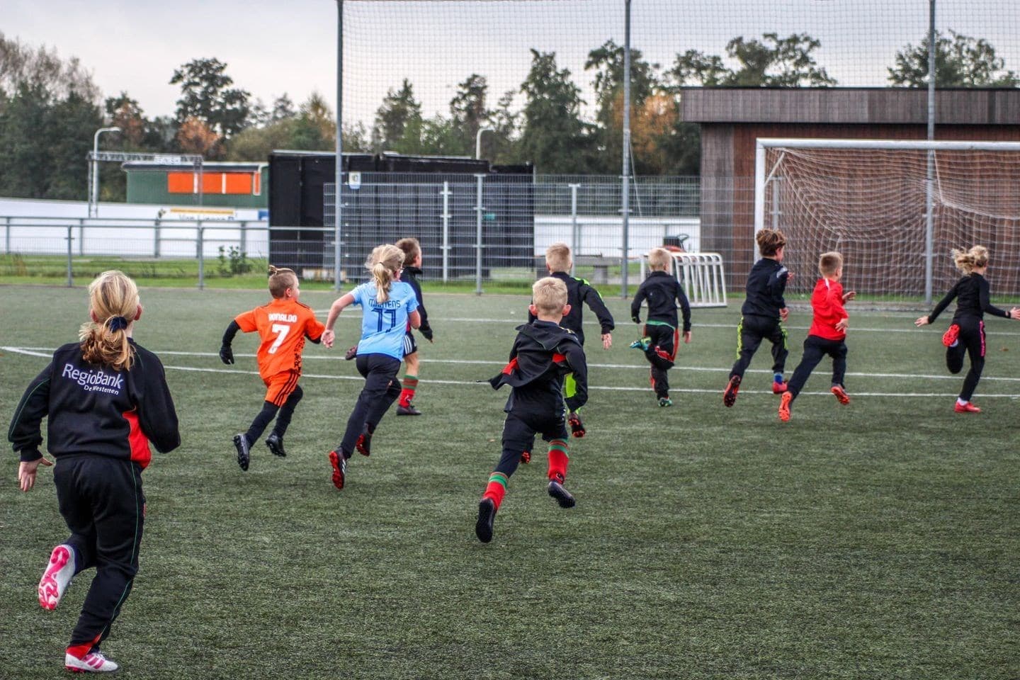 Trainer/trainster gezocht